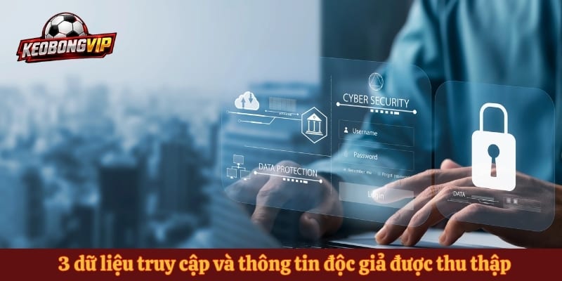 3 dữ liệu truy cập và thông tin độc giả được thu thập