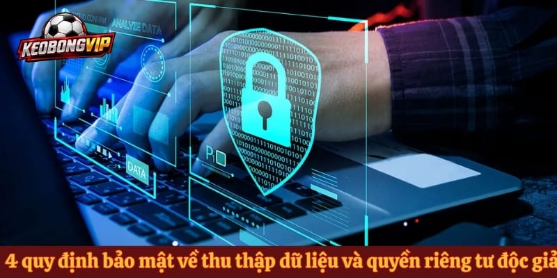 4 quy định bảo mật về thu thập dữ liệu và quyền riêng tư độc giả
