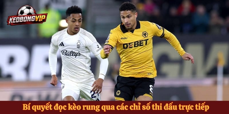 Bí quyết đọc kèo rung qua các chỉ số thi đấu trực tiếp
