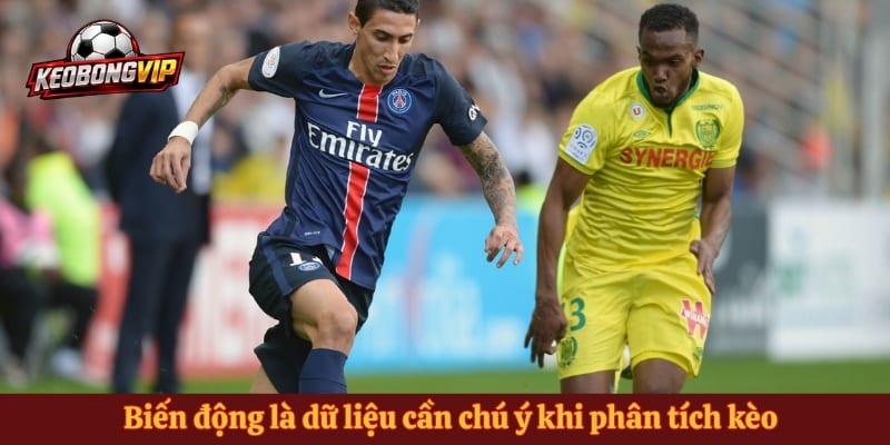 Biến động là dữ liệu cần chú ý khi phân tích kèo