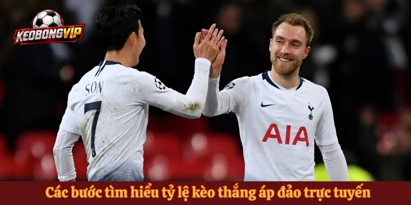 Các bước tìm hiểu tỷ lệ kèo thắng áp đảo trực tuyến