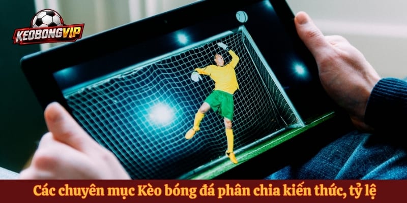 Các chuyên mục Kèo bóng đá phân chia kiến thức, tỷ lệ và phân tích trận đấu