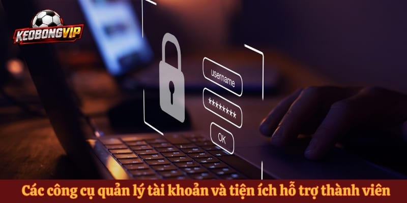 Các công cụ quản lý tài khoản và tiện ích hỗ trợ thành viên sky88