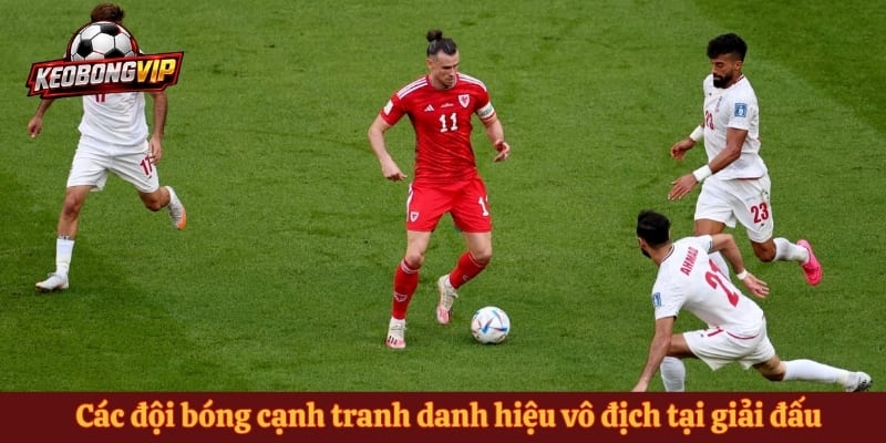 Các đội bóng cạnh tranh danh hiệu vô địch tại giải đấu