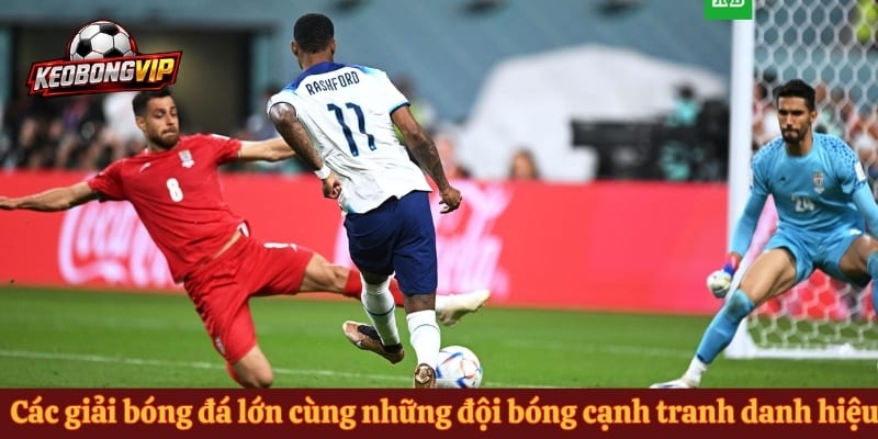 Các giải bóng đá lớn cùng những đội bóng cạnh tranh danh hiệu