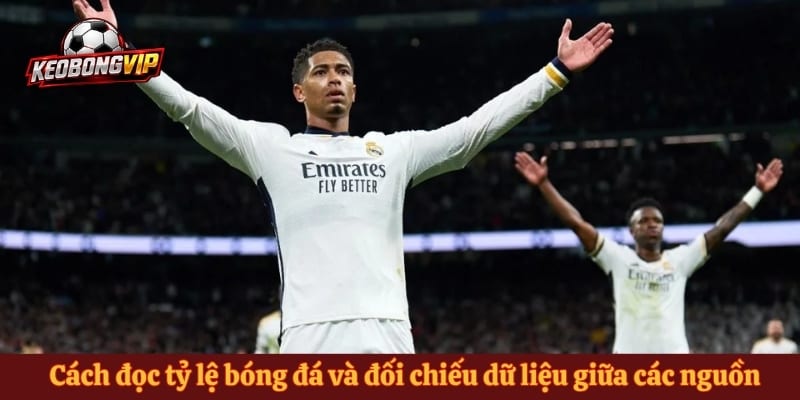 Cách đọc tỷ lệ bóng đá và đối chiếu dữ liệu giữa các nguồn 