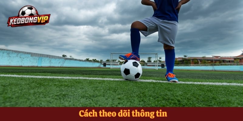 Cách theo dõi thông tin