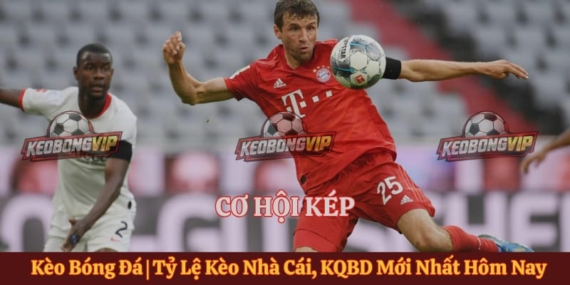 Cơ Hội Kép Là Gì ? Cách Hiểu Đúng Các Kết Quả Trong Bóng Đá