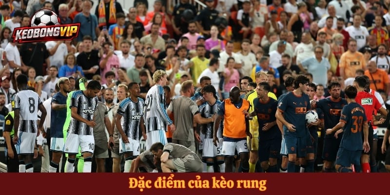 Đặc điểm của kèo rung 