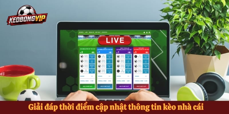 Giải đáp thời điểm cập nhật thông tin kèo nhà cái