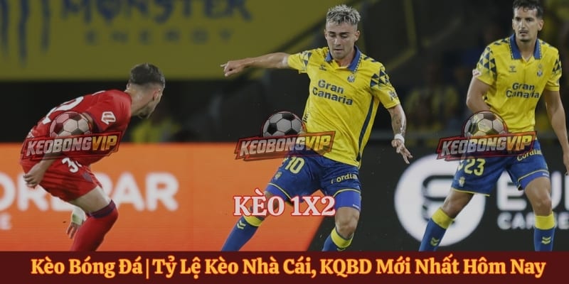 Kèo 1x2 - Cách Đọc Tỷ Lệ Trong Trận Đấu Bóng Đá Đơn Giản