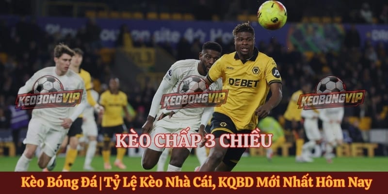 Kèo Chấp 3 Chiều - Cách Đọc Tỷ Lệ & Phân Tích Chuẩn Xác
