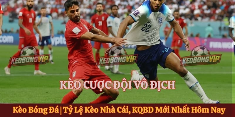 Kèo Cược Đội Vô Địch Là Gì? Cách Đọc Tỷ Lệ Và Phân Tích