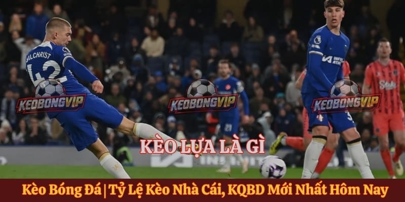 Kèo Lựa Là Gì - Cách Nhận Biết Để Phân Tích Kèo Hiệu Quả