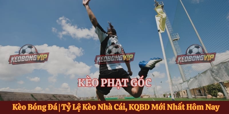 Kèo Phạt Góc Là Gì? Cách Đọc Luật Và Mẹo Phân Tích Trận Đấu
