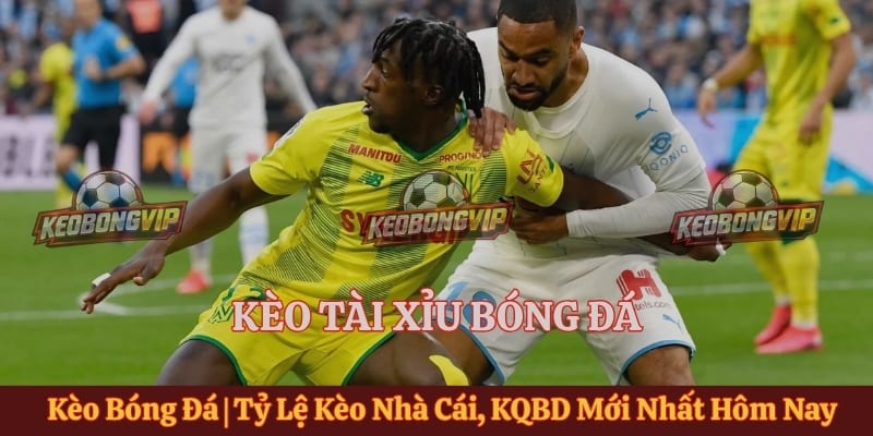 Kèo Tài Xỉu Bóng Đá - Cách Đọc Tỷ Lệ Chuẩn Xác Cho Tân Thủ