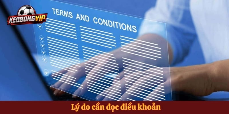 Lý do cần đọc điều khoản