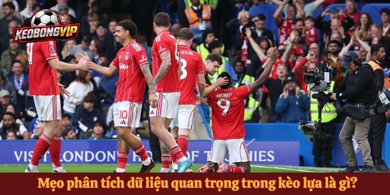 Mẹo phân tích dữ liệu quan trọng trong kèo lựa là gì?