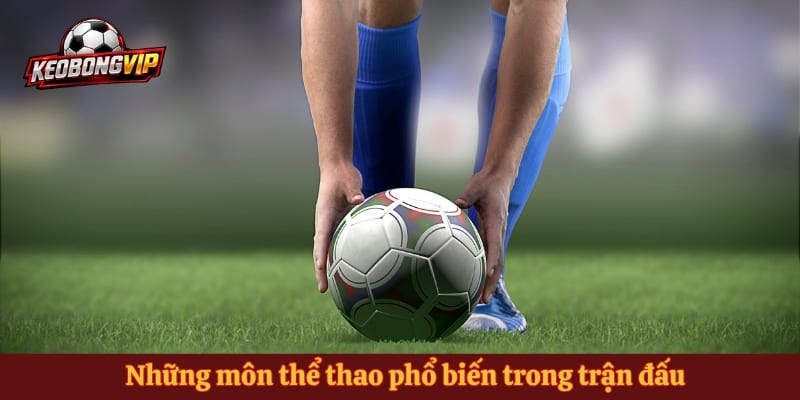 Những môn thể thao phổ biến trong trận đấu