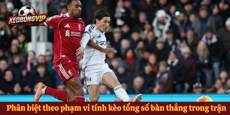 Phân biệt theo phạm vi tính kèo tổng số bàn thắng trong trận