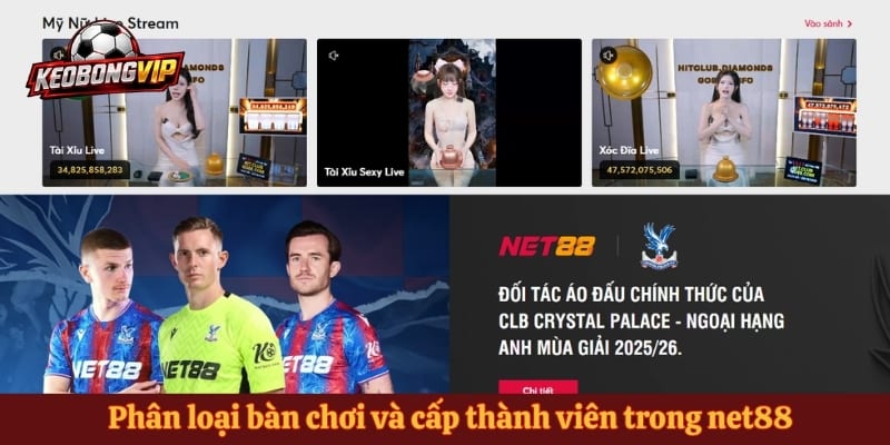 Phân loại bàn chơi và cấp thành viên trong net88
