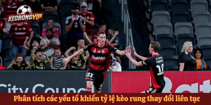 Phân tích các yếu tố khiến tỷ lệ kèo rung thay đổi liên tục