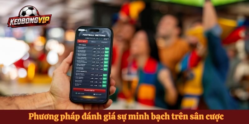 Phương pháp đánh giá sự minh bạch trên sân cược
