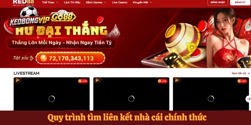Quy trình tìm liên kết nhà cái chính thức