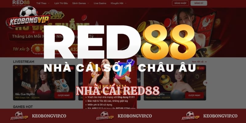 Red88 – Nhà Cái Cá Cược Online Xanh Chín Nhất Thị Trường