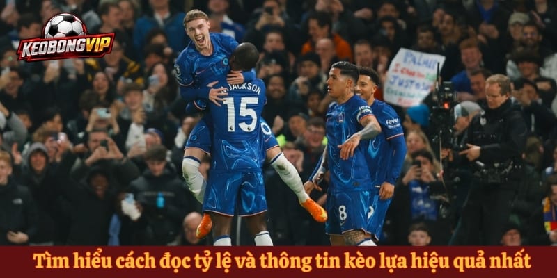 Tìm hiểu cách đọc tỷ lệ và thông tin kèo lựa hiệu quả nhất