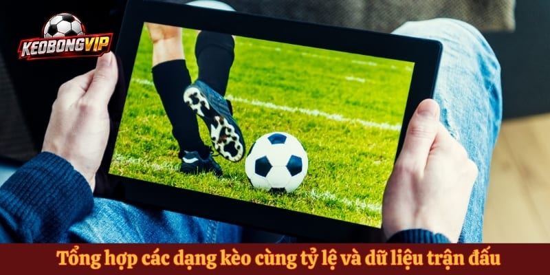 Tổng hợp các dạng kèo cùng tỷ lệ và dữ liệu trận đấu