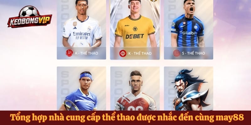 Tổng hợp nhà cung cấp thể thao được nhắc đến cùng may88