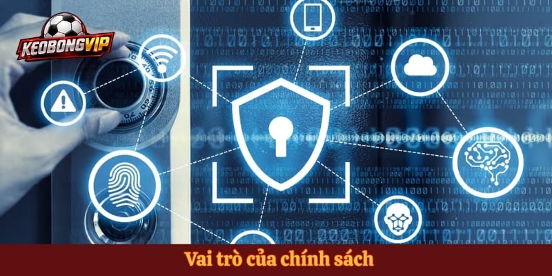 Vai trò của chính sách