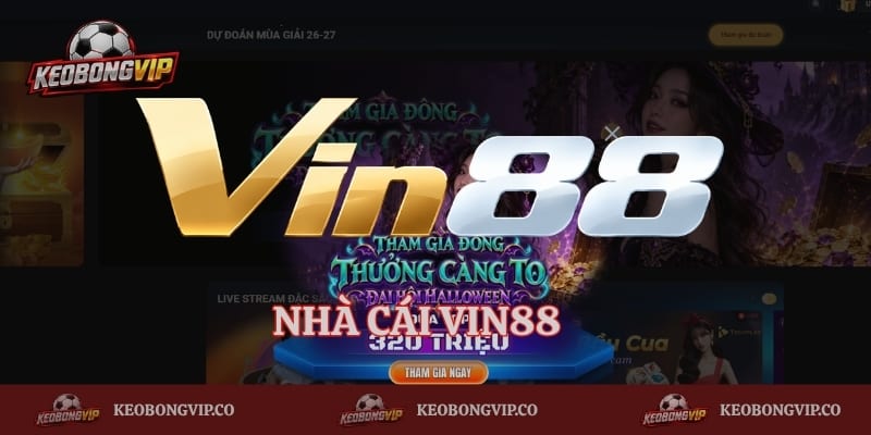 Vin88 – Địa Điểm Cá Cược Được Đánh Giá Là Uy Tín Nhất