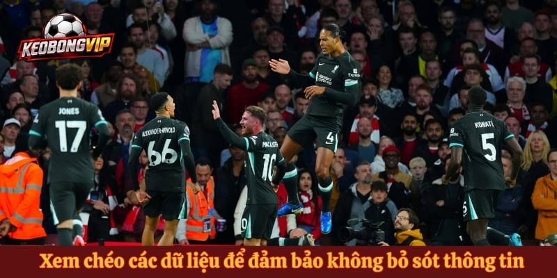 Xem chéo các dữ liệu để đảm bảo không bỏ sót thông tin